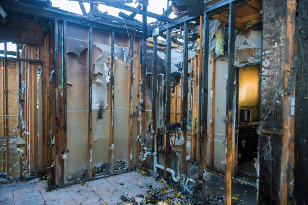 Professional Fire Damage Removal technician working in Frontenac, KS